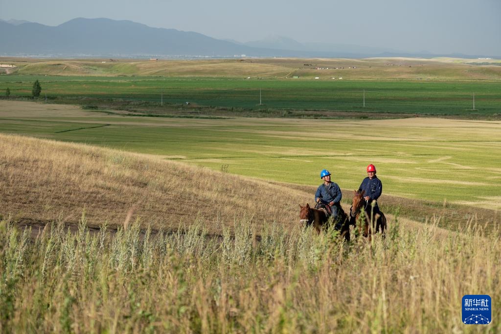图片故事丨大山深处的“守光者”