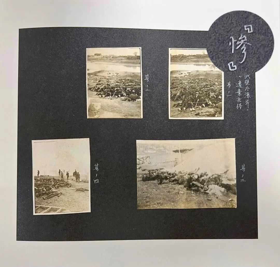 触目惊心！这本相册上，写着一个“惨”字……