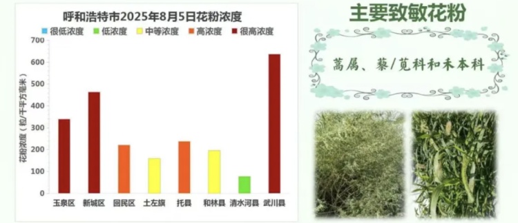 一天30多个喷嚏!近期高发,出现这些症状赶紧就医 一天30多个喷嚏!近期高发,出现这些症状赶紧就医