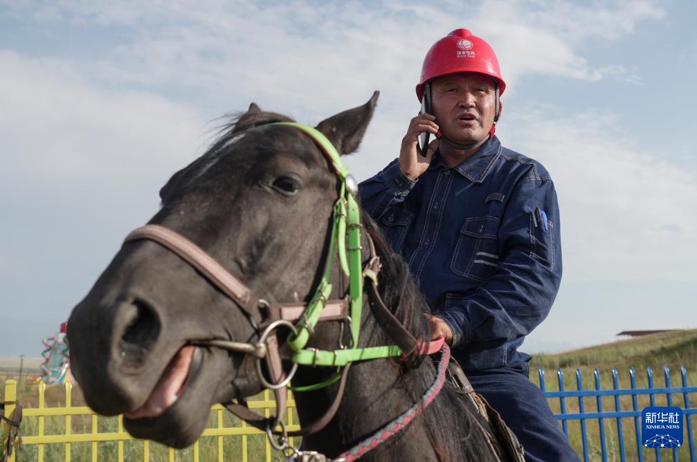 图片故事丨大山深处的“守光者”