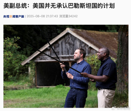 美副总统：美国并无承认巴勒斯坦国的计划