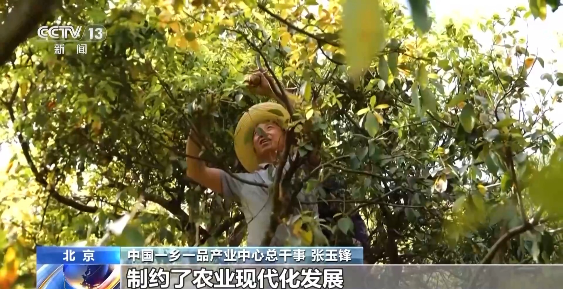 农业融资渠道有限怎么办？这个新成立的发展母基金帮你解决→