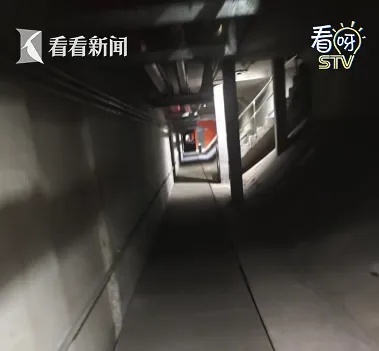 事发上海隧道！车辆自燃引发大片拥堵，临盆孕妇被堵在车流中…没想到还有这条密道