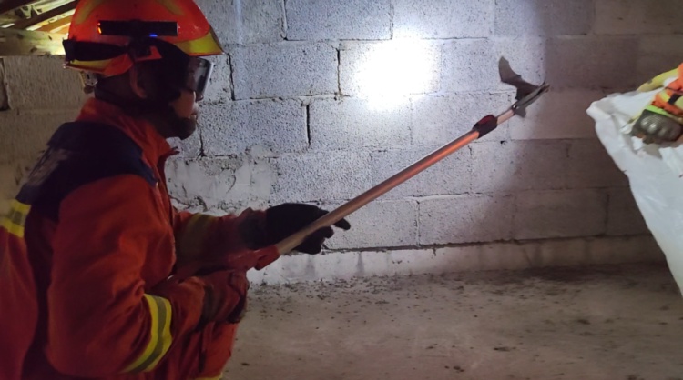 百只蝙蝠“强占”民房，消防成功劝离