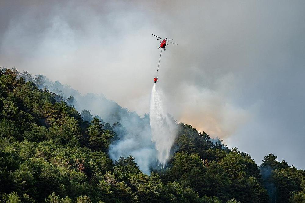 世界气象组织：极端高温影响全球大量人口