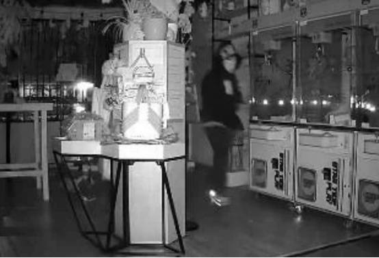 美媒：洛杉矶一潮玩店遭洗劫，价值约7000美元“拉布布”被盗