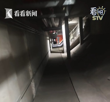 事发上海一隧道！晚高峰车辆突然自燃，众司机走“密道”弃车避险，有临产孕妇被困……