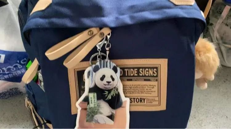 上海动物园大熊猫“和风”9岁啦，众多猫粉赶来庆生，互换自制周边