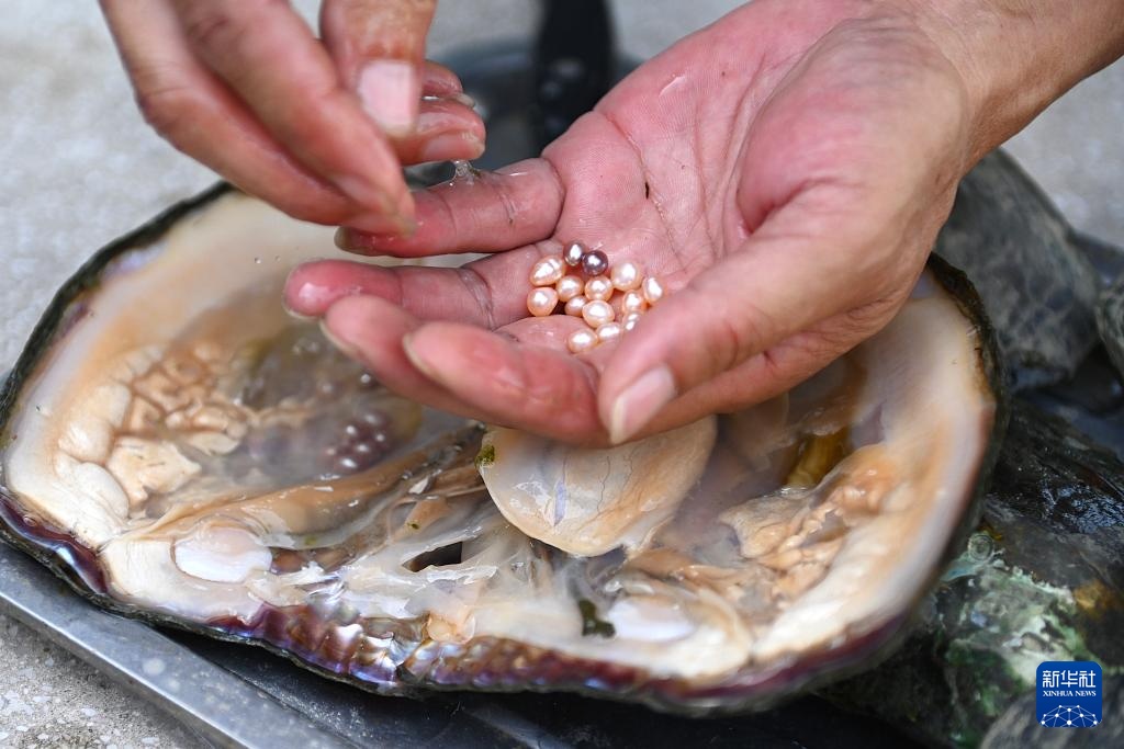 活力中国调研行｜诸暨山下湖镇：“珠”光宝气的珍珠小镇