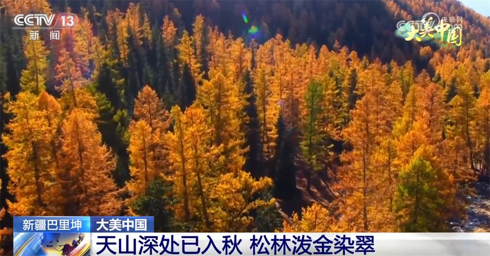 以“生态文明建设”之笔绘就绿色发展新图景 大美中国画卷徐徐铺展 以“生态文明建设”之笔绘就绿色发展新图景 大美中国画卷徐徐铺展