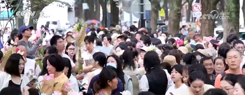 “一朵荷花”撬动农文旅融合产业链 解锁特色早市背后的文旅账单