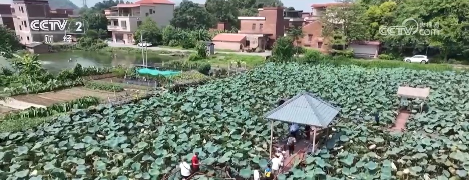 外国游客解锁“小众游”“定制游”新体验 沉浸式感受“大美中国”魅力