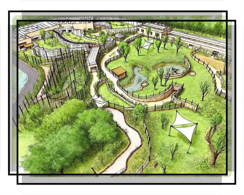 红山动物园南门新区要来了