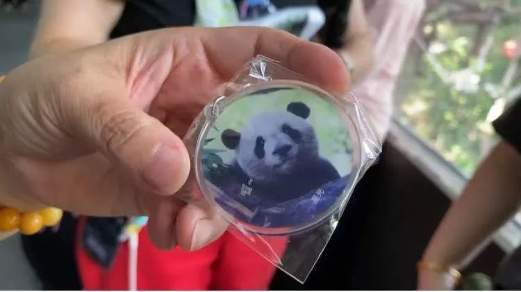 上海动物园大熊猫“和风”9岁啦，众多猫粉赶来庆生，互换自制周边