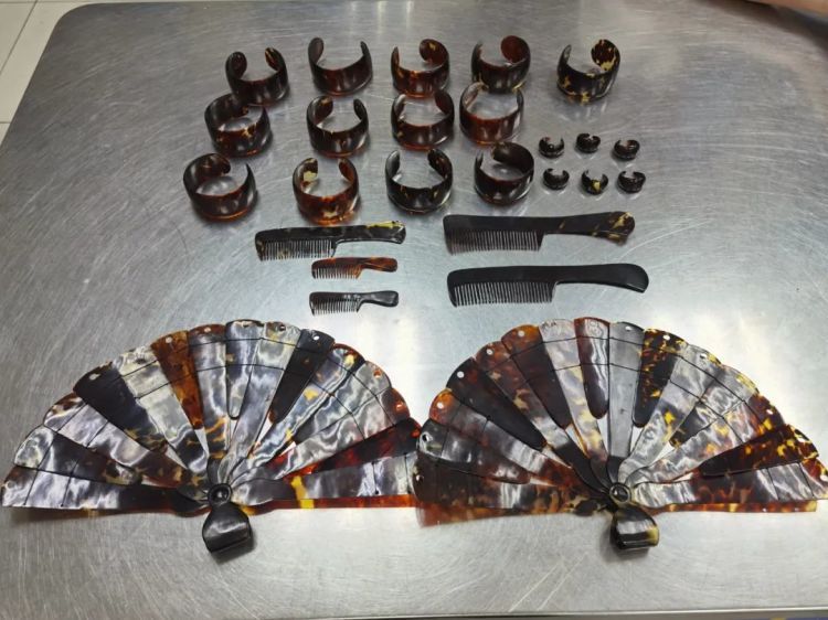 五彩斑斓的黑！深圳湾海关查获濒危玳瑁制品26件