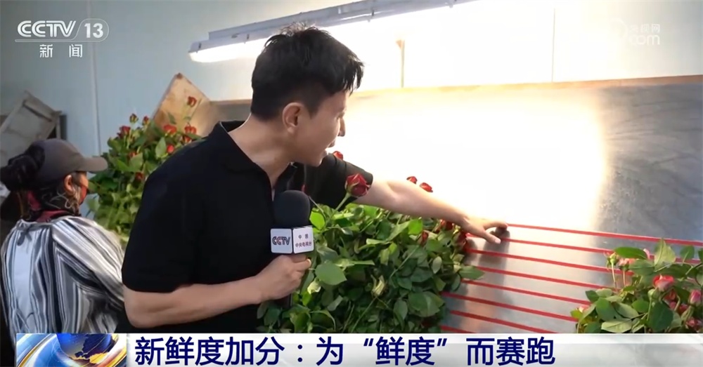 “新业态+新消费”催生花卉行业新工种 让“不凋谢”的中国式浪漫走向世界