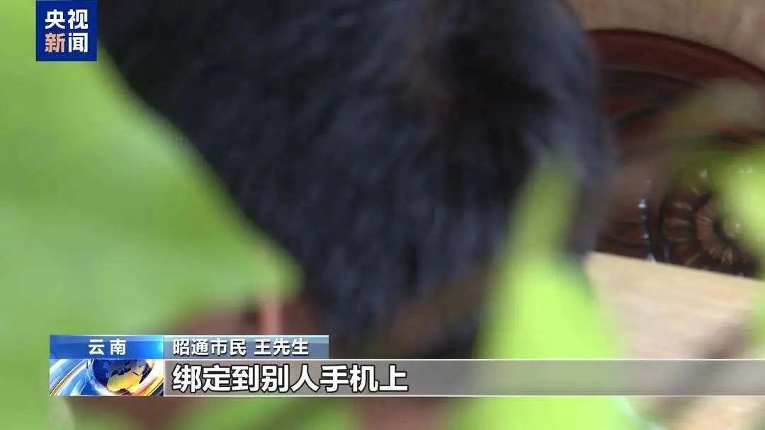 警惕 新型“育儿补贴”诈骗现身