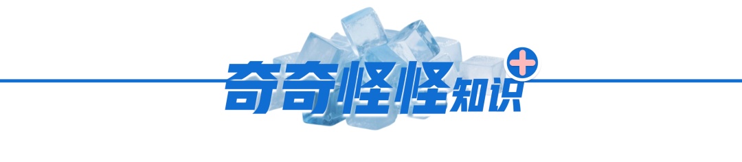 拍死正在吸血的蚊子，它的嘴会断在肉里吗？