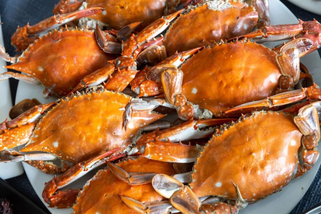 浙江8000余艘渔船出海,透骨新鲜的“虾兵蟹将”上桌啦! 浙江8000余艘渔船出海,透骨新鲜的“虾兵蟹将”上桌啦!