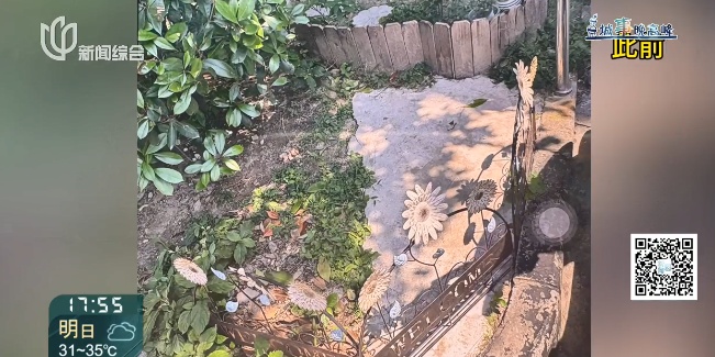 “你有毛病是不是？”上海女子遭邻居上门辱骂、踢踹铁门！警方介入，原因搞清了