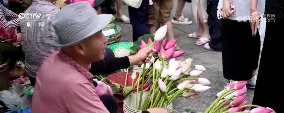 “一朵荷花”撬动农文旅融合产业链 解锁特色早市背后的文旅账单