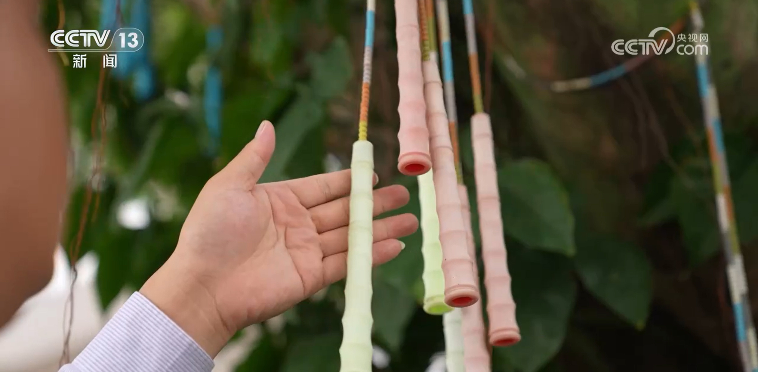 刹车线变“夺金绳”！乡村教师培养52位世界冠军的逆袭之路