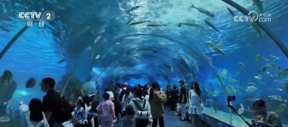 人气足 文旅热 消费旺 新场景新“夜”态点燃缤纷夏日 暑期经济“热”力十足