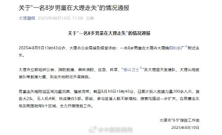 官方通报一8岁男童在大理走失