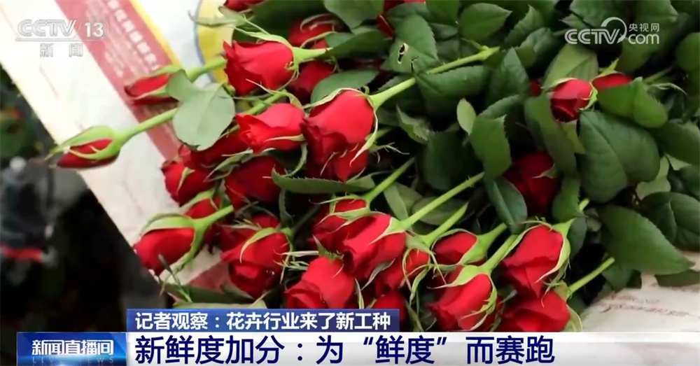 “新业态+新消费”催生花卉行业新工种 让“不凋谢”的中国式浪漫走向世界