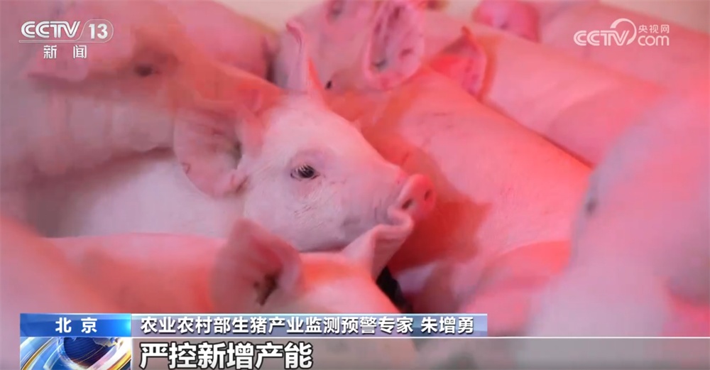 国家实施生猪产能综合调控 促进生猪市场逐步摆脱“大起大落”周期困境 国家实施生猪产能综合调控 促进生猪市场逐步摆脱“大起大落”周期困境