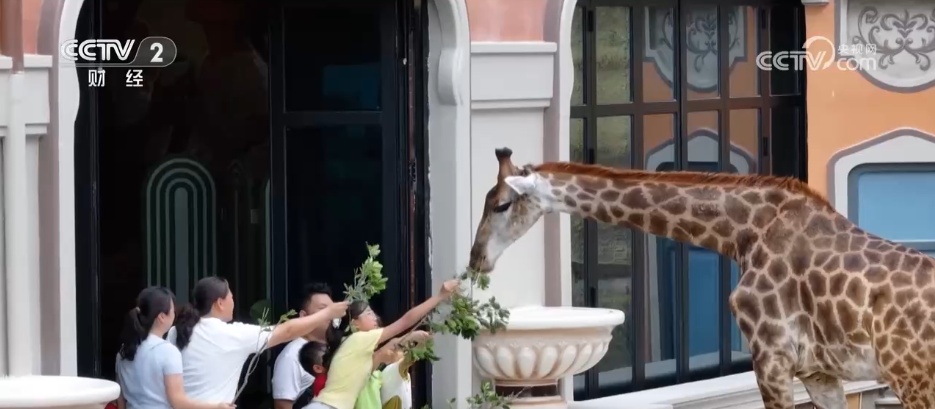 人气足 文旅热 消费旺 新场景新“夜”态点燃缤纷夏日 暑期经济“热”力十足