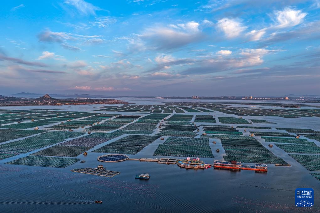 山东荣成：秋日耕海图