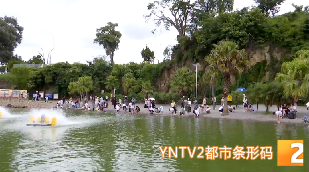 母子不慎落入滇池，关键时刻他们出手了！