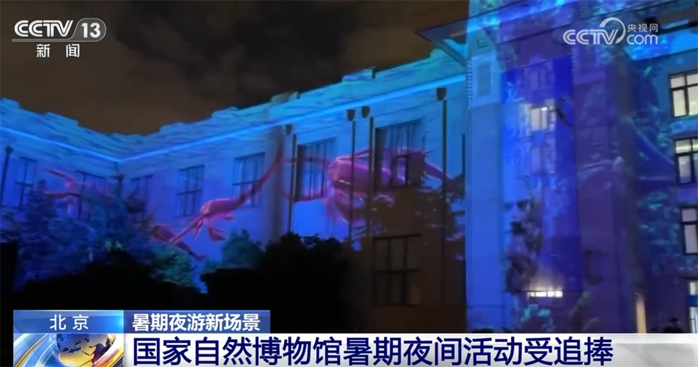 在博物馆学知识、去公园探索自然、来一场户外运动 暑期夜游乘“热”而上