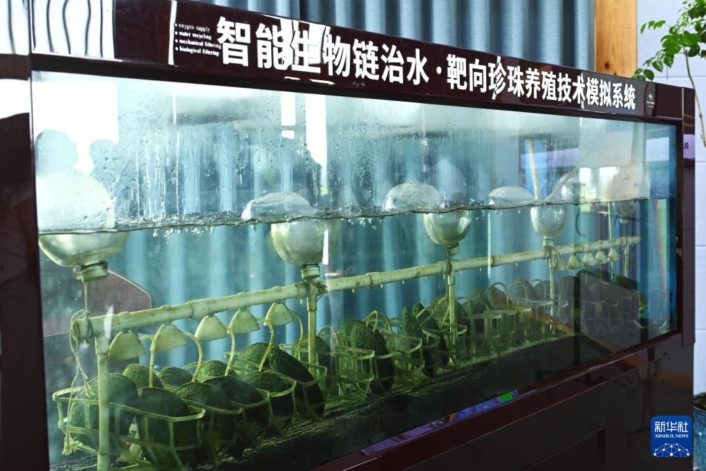 活力中国调研行｜诸暨山下湖镇：“珠”光宝气的珍珠小镇