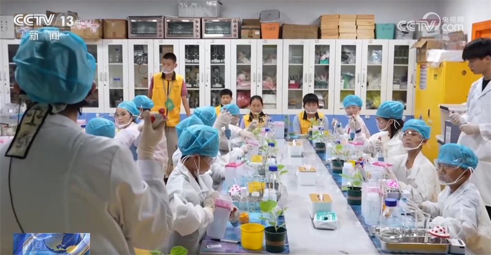 在博物馆学知识、去公园探索自然、来一场户外运动 暑期夜游乘“热”而上