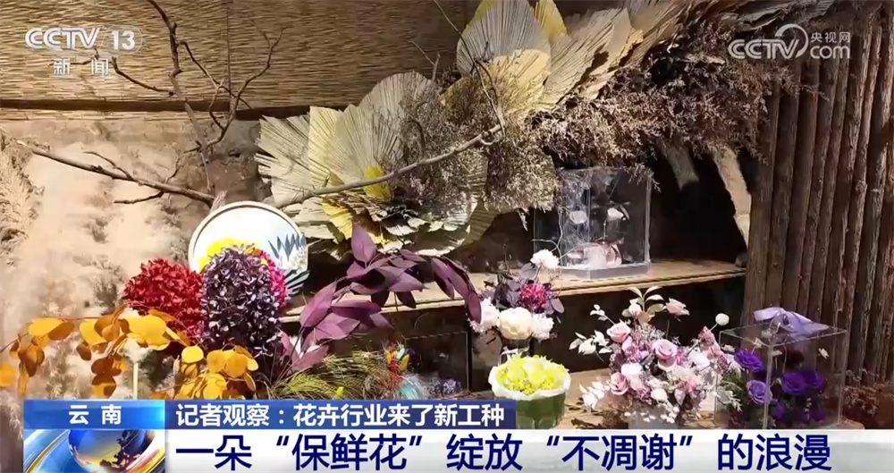 “新业态+新消费”催生花卉行业新工种 让“不凋谢”的中国式浪漫走向世界