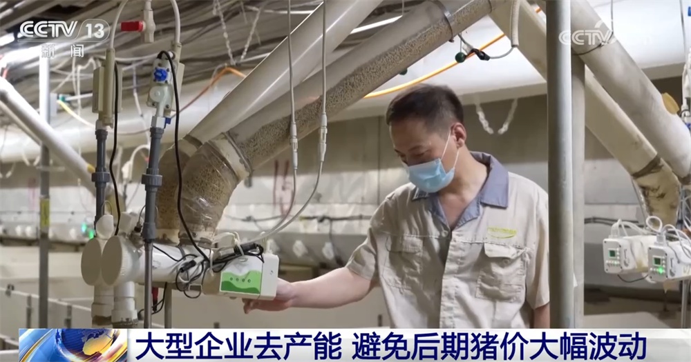 国家实施生猪产能综合调控 促进生猪市场逐步摆脱“大起大落”周期困境 国家实施生猪产能综合调控 促进生猪市场逐步摆脱“大起大落”周期困境