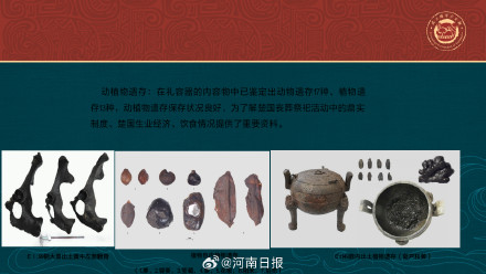 武王墩考古初成果权威发布