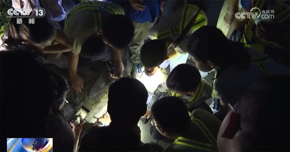 在博物馆学知识、去公园探索自然、来一场户外运动 暑期夜游乘“热”而上