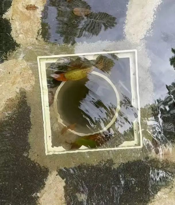 痛惜，6岁女童殒命水乐园！14分钟绝望救援，竟是因为这个原因！