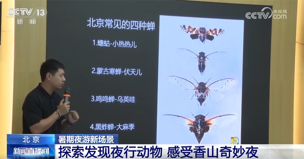 在博物馆学知识、去公园探索自然、来一场户外运动 暑期夜游乘“热”而上