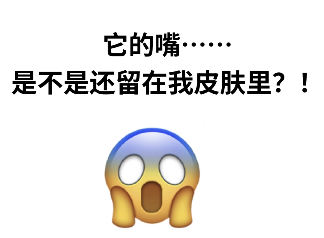 拍死正在吸血的蚊子，它的嘴会断在肉里吗？