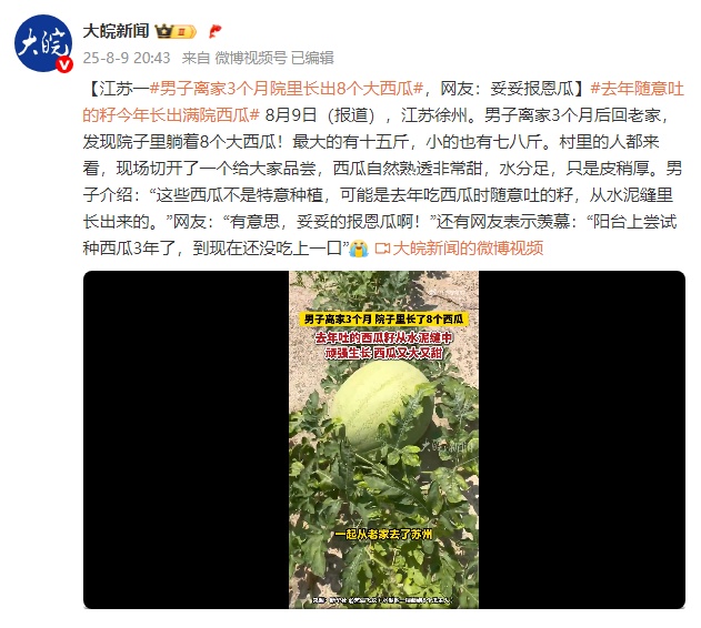 江苏一男子离家3个月院里长出8个大西瓜，网友：妥妥报恩瓜