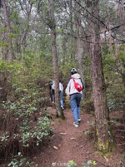 应急局回应男童在苍山走失：队伍还在山上搜寻