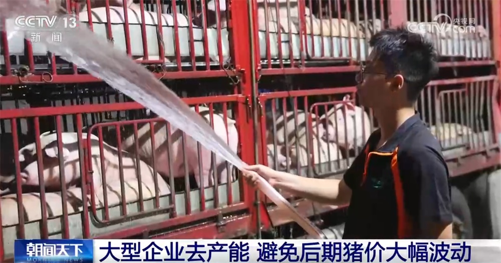 国家实施生猪产能综合调控 促进生猪市场逐步摆脱“大起大落”周期困境 国家实施生猪产能综合调控 促进生猪市场逐步摆脱“大起大落”周期困境