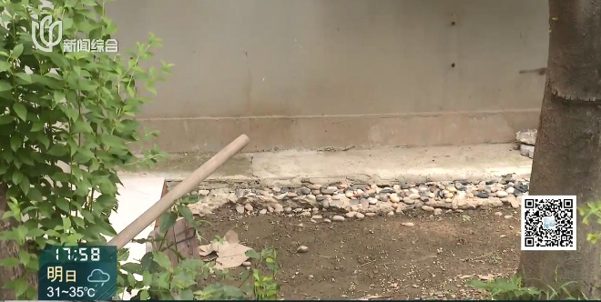 “你有毛病是不是？”上海女子遭邻居上门辱骂、踢踹铁门！警方介入，原因搞清了