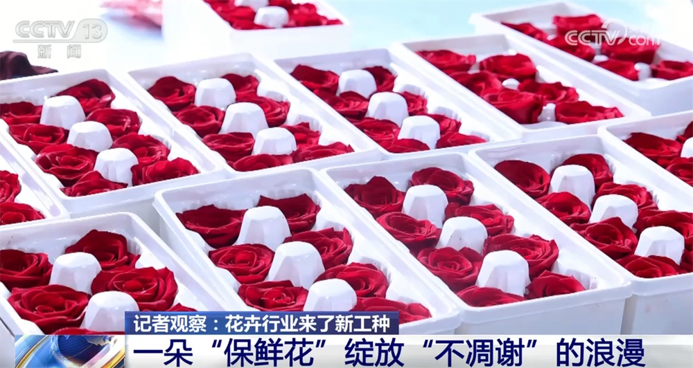 “新业态+新消费”催生花卉行业新工种 让“不凋谢”的中国式浪漫走向世界