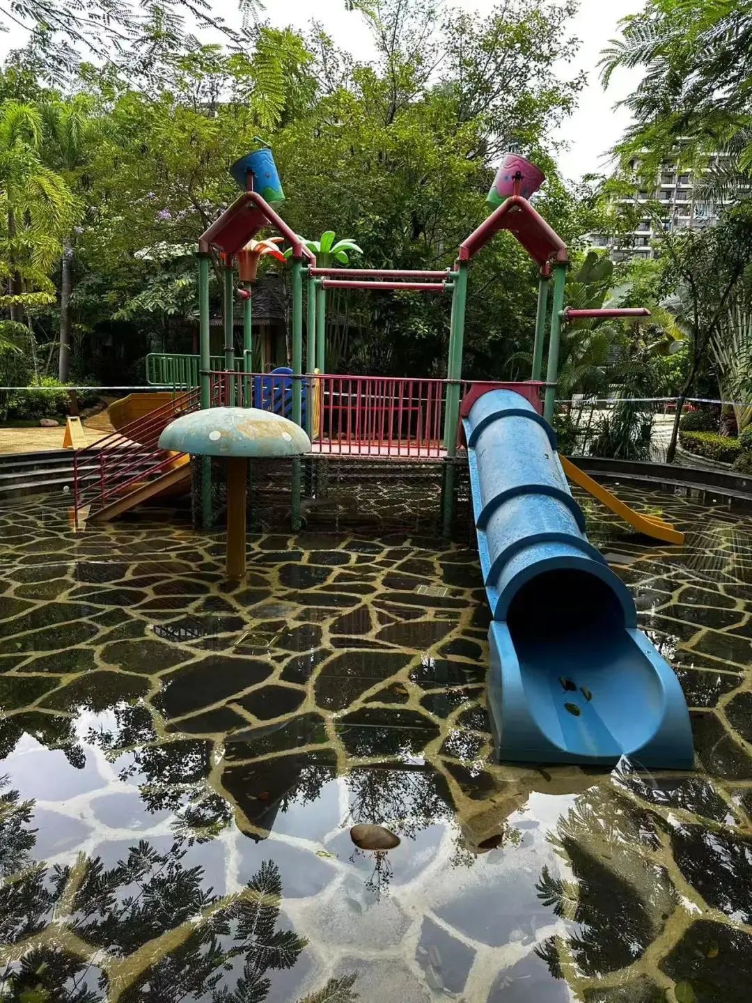 6岁女童酒店戏水池身亡，“多人合力仍拖拽不动”