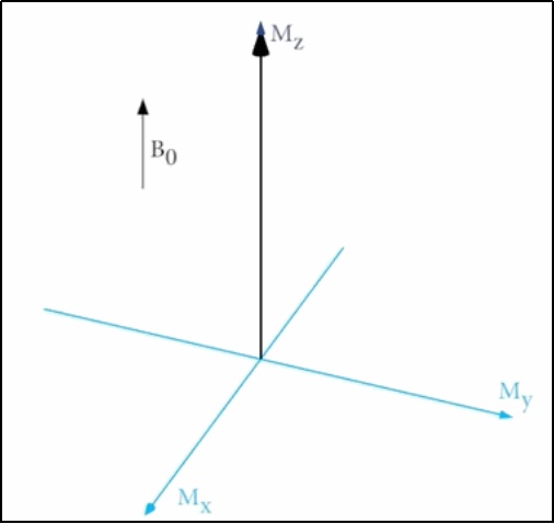 避免事故，了解原理，避开误区——去医院做核磁共振先看这份科普指南